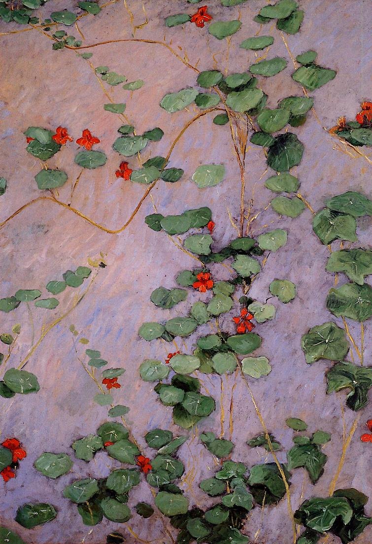 Gustave Caillebotte Nasturtiums